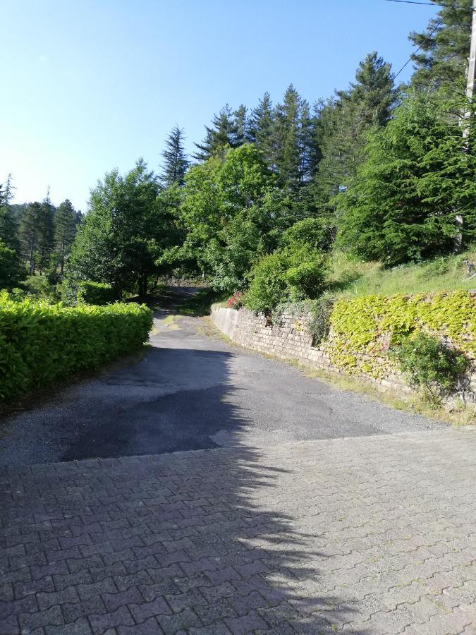 Gites En Cevennes "Chez Steloune" Genolhac Экстерьер фото